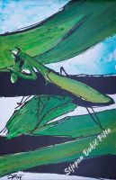 50tz_moj_prijatelj_norch_na_kavici